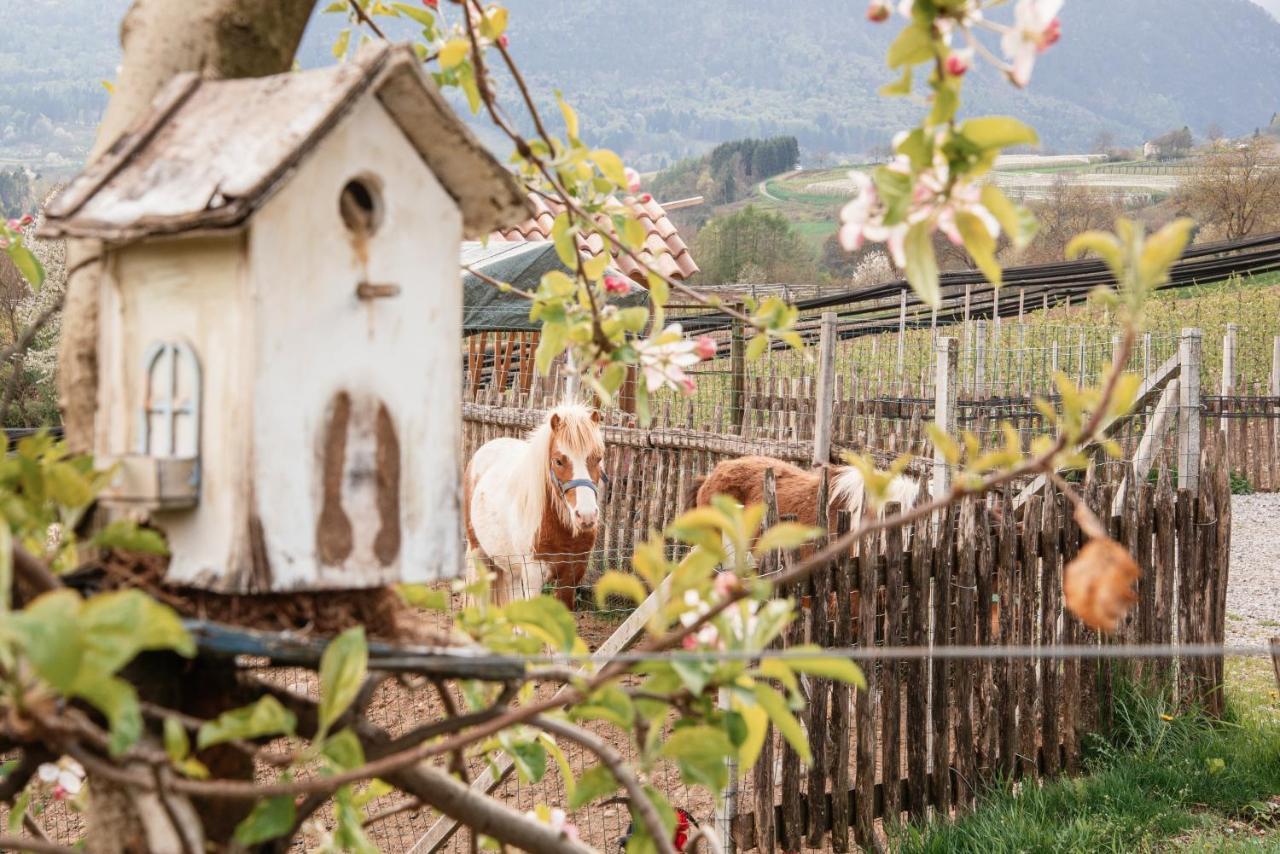 Maso Caliari Villa Bono  Exteriör bild